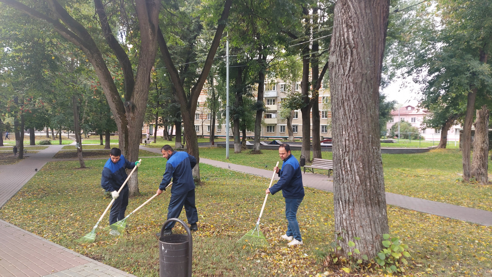 На территории поселения Рязановское началась уборка опавшей листвы.