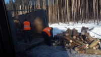В лесных массивах вблизи СНТ «Березка» и «Сосенка» ведутся работы по очистке леса