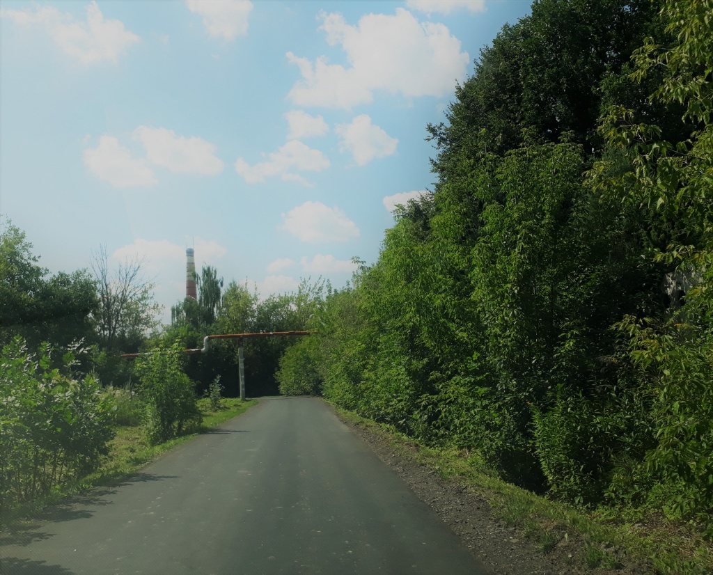 Подрядная организация завершит асфальтирование дороги в поселении Рязановское