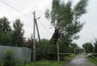 Работники МУП «Подольская электросеть» выполняют обрезку и опиловку деревьев и кустарников в деревне Сальково 