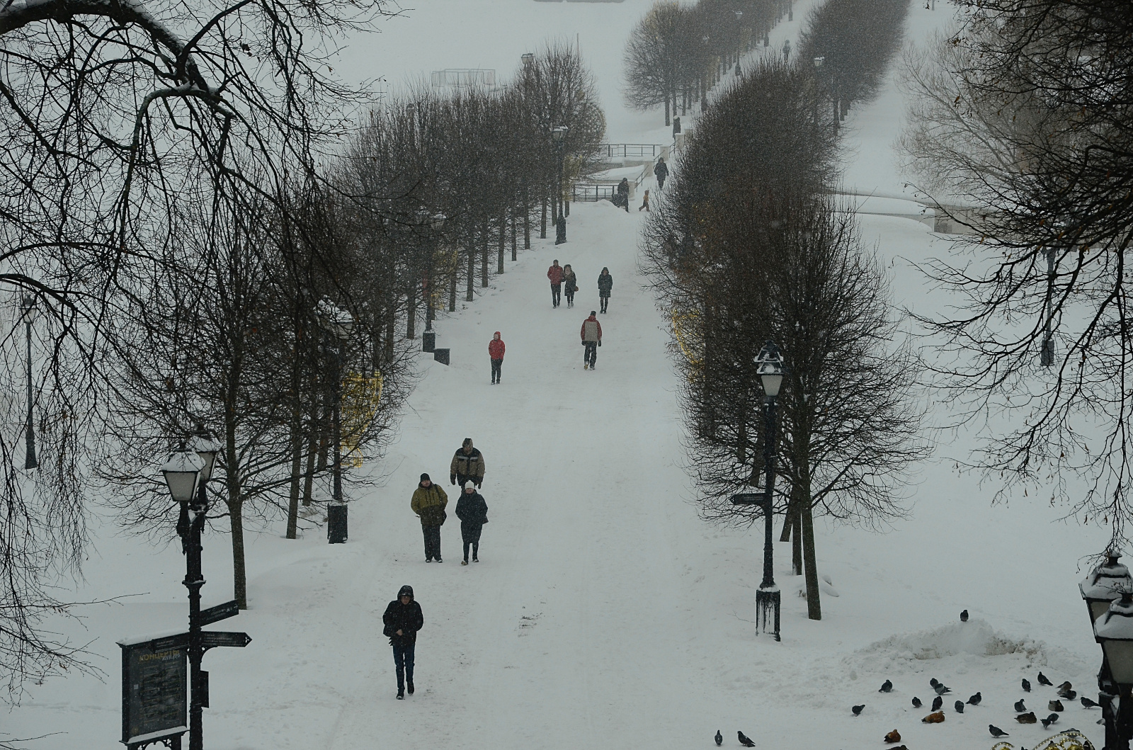Синоптики продлили «желтый» уровень погодной опасности в Москве