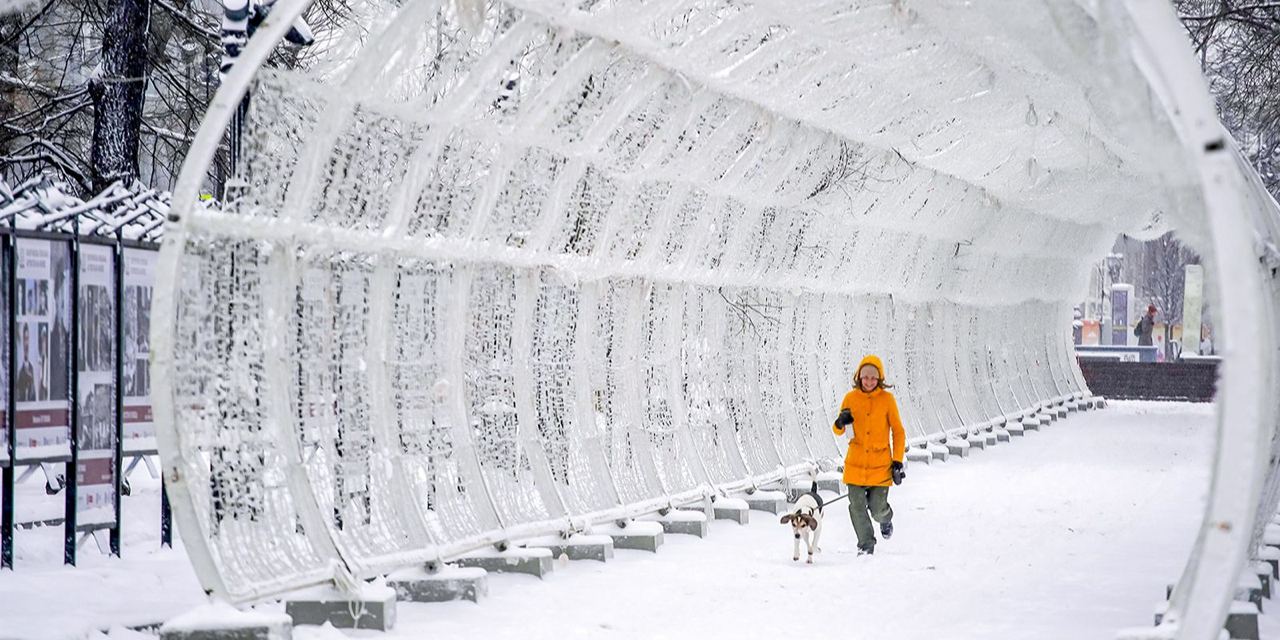 В ближайшие дни в Москве сохранится снежная и облачная погода﻿, ожидаются перепады температуры