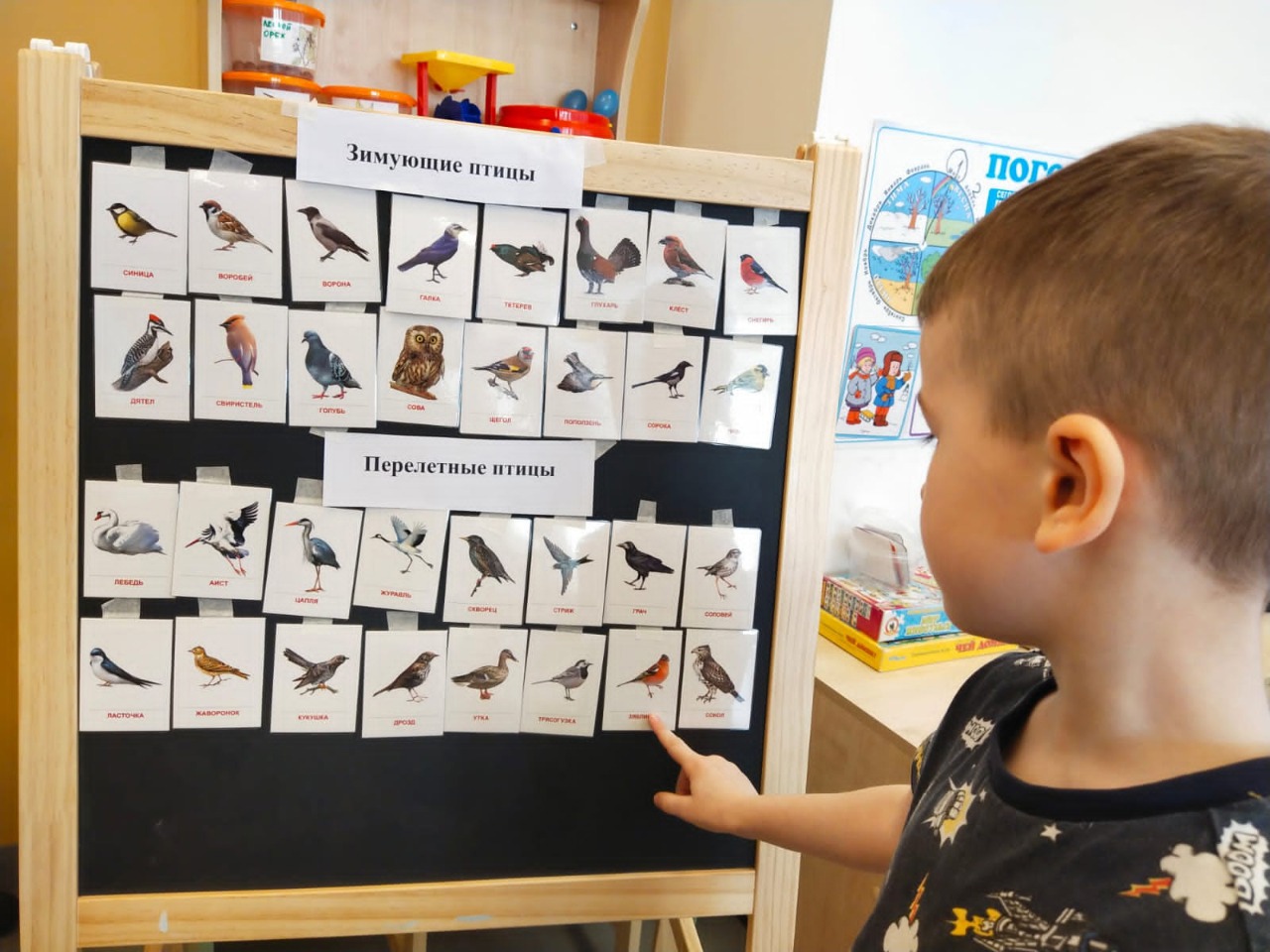 Изучением птиц занялись дошкольники образовательного комплекса №2083