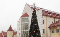 Праздничные елки и световые инсталляции установят в поселении Рязановское