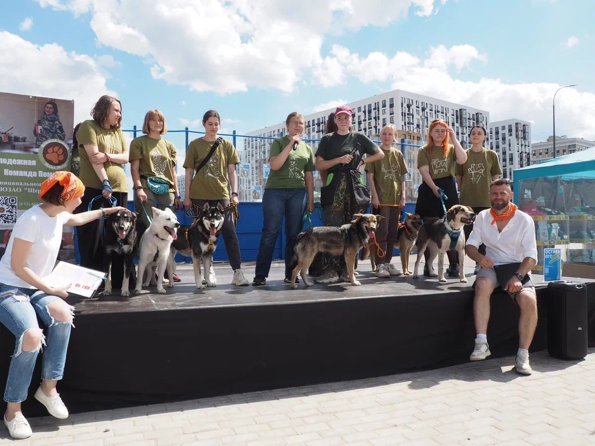 В ЖК «Остафьево» прошла выставка-пристройство бездомных животных