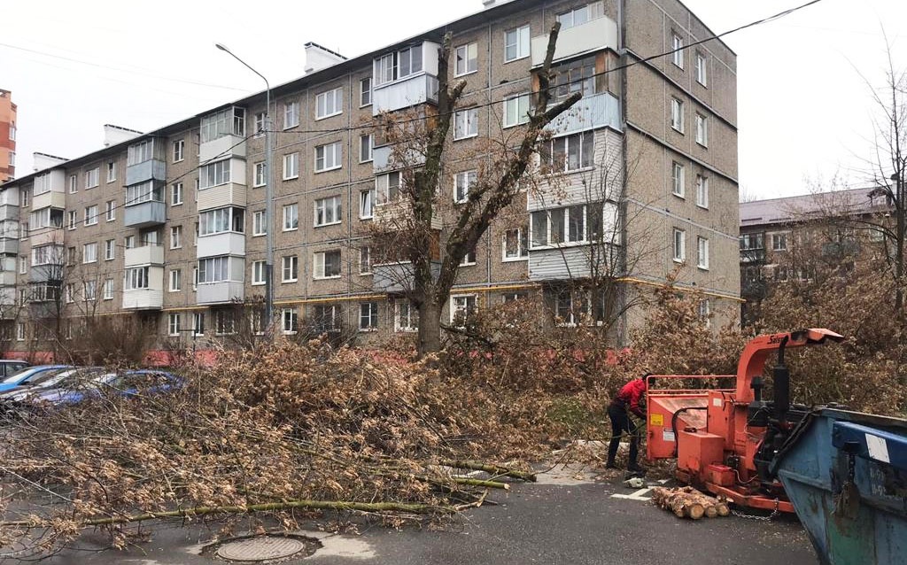 Специалисты подрядной организации 19 ноября провели профилактическую обрезку деревьев в поселке Фабрики имени 1 Мая поселения Рязановское около дома №47 вблизи линий электропередач и уличного освещения.