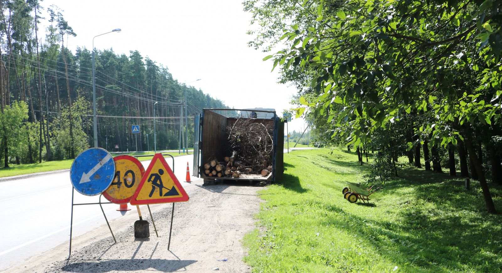 Мероприятия по удалению упавших деревьев проводятся в поселении Рязановское