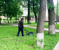 В Рязановском продолжаются работы по покосу травы
