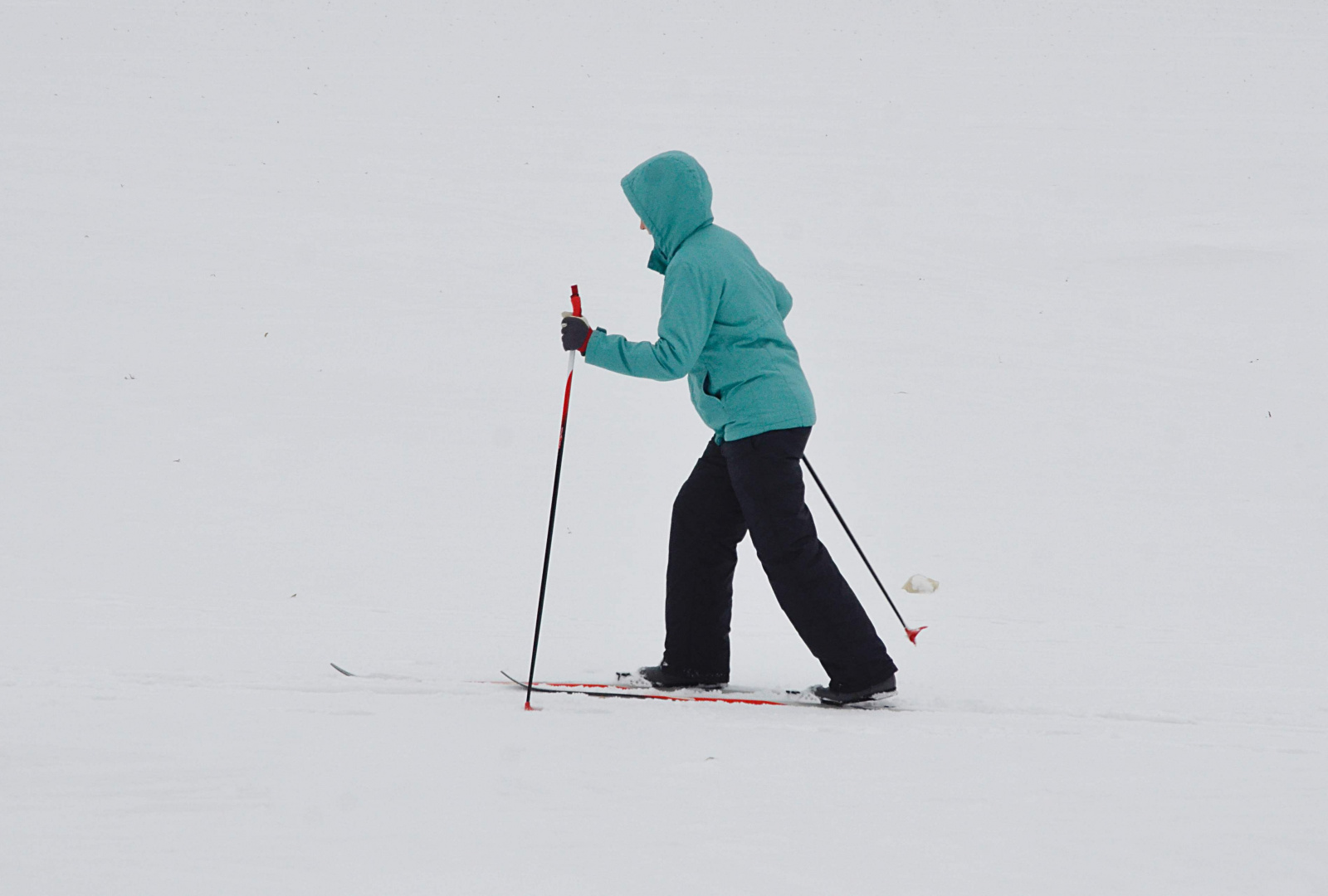 Соревнования по лыжным гонкам пройдут в поселении Рязановское