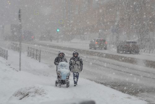 Ухудшение погодных условий спрогнозировали в Московском регионе