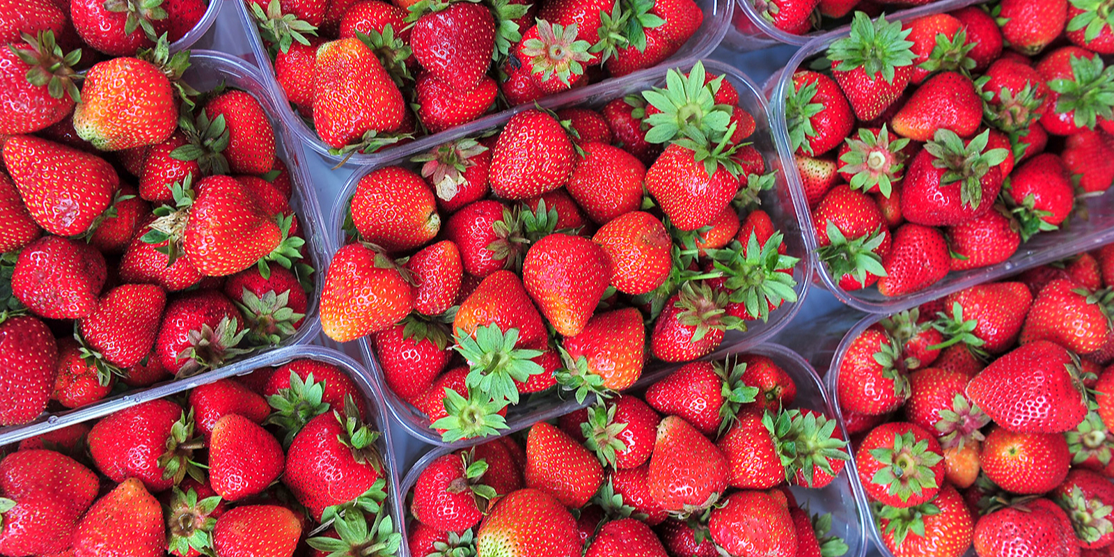 Более 20 тысяч тонн ягод и фруктов проверили столичные ветсанэксперты с начала года