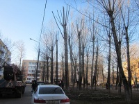 На территории поселения Рязановское начались работы по обрезке тополей