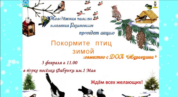 Молодёжная палата совместно с администрацией поселения Рязановское, Советом депутатов и дошкольной образовательной площадкой «Журавушка» проведёт экологическую акцию «Покормите птиц зимой»