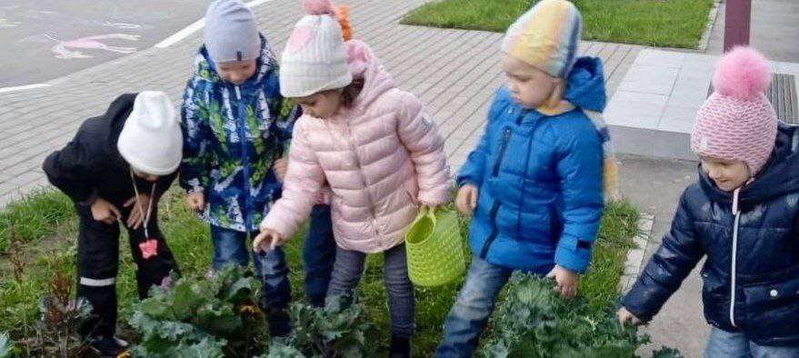 Сезонные овощи: воспитанники школы №2083 собрали урожай
