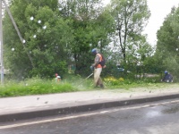 Покос травы и уборка мусора вдоль дорог в Рязановском продолжаются