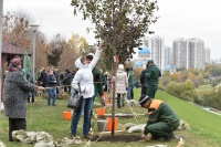 В Новой Москве прошла акция «Мое дерево в ТиНАО»