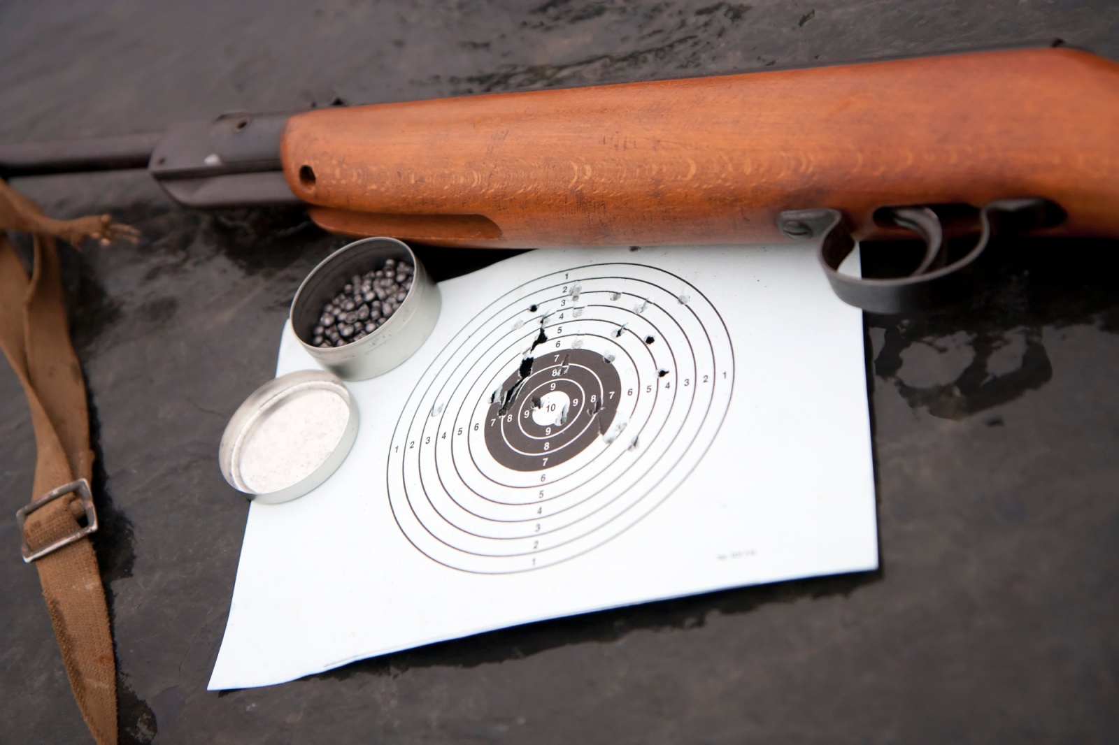 Соревнования по пулевой стрельбе из пневматической винтовки пройдут в универсальном спортивном зале МУ «СК «Десна»