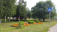 На территории поселения Рязановское проводится покос травы и декорирование клумб