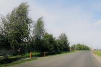 	В поселении Рязановское продолжаются работы по покосу 