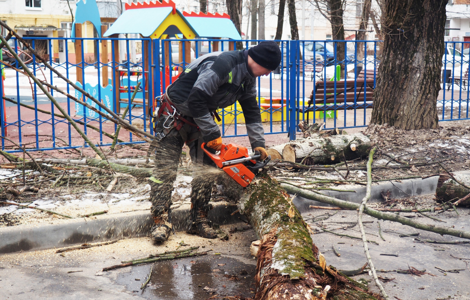 Опиловку дерева провели в поселке Знамя Октября