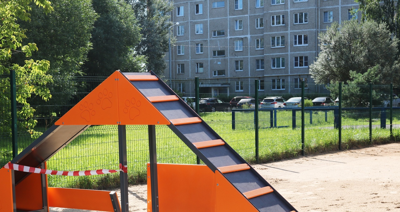 Площадку для выгула собак в Рязановском оснастят барьерами и лабиринтами
