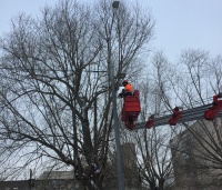 Обрезка и кронирование деревьев проводится в Рязановском
