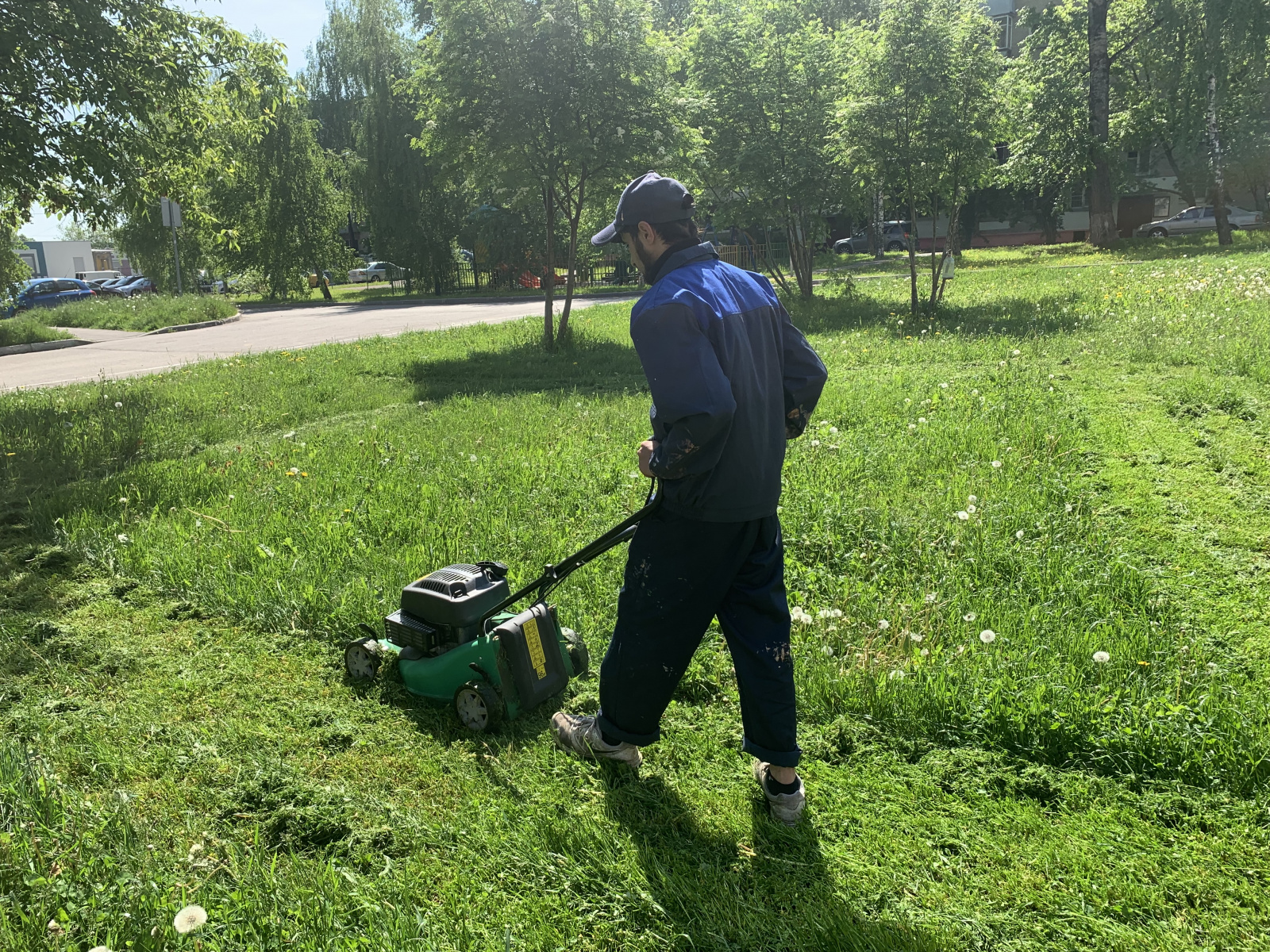 В Рязановском продолжаются работы по покосу травы