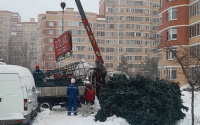 Новогодние ели убрали до следующих праздников в поселении Рязановское